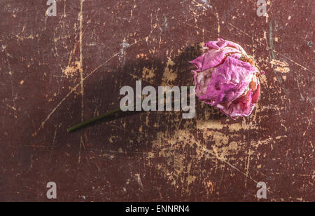 Withered flower on wooden background Stock Photo