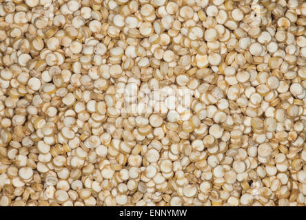 Background of uncooked quinoa.  Macro image with selective focus. Stock Photo