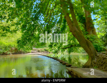 Stepping stones crossing the river Mole. Stock Photo