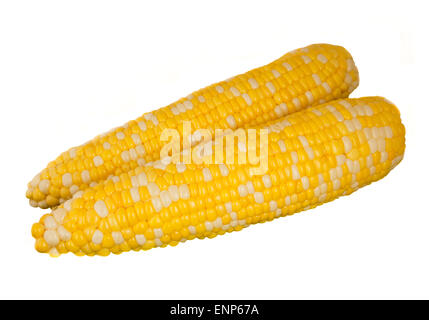 Two ears of sweet corn Stock Photo