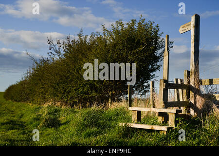 A finger post points the way for a public footpath in Northumberland Stock Photo