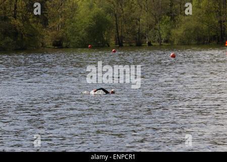 Lake Windermere Cumbria  9th May  2015 UK Swimmer practicing cold water swimming for the Great North Swim   12th to the 13th June 2015 in Lake Windermere .Practicing Swimmers are NOT recommended to swim close to the  main sailing - boat lanes due to the undertow  .All open water swimmers  practicing are recommend  to be attached to Swimmers Torpedo Buoy for extra visibility  Credit:  Gordon Shoosmith/Alamy Live News Stock Photo