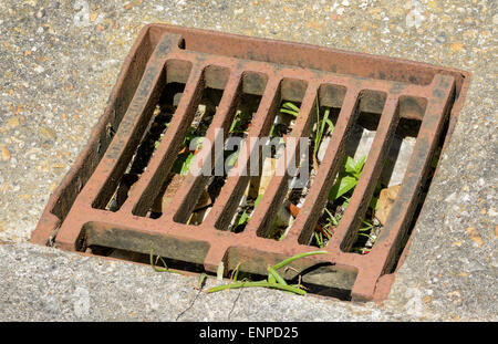 Dried up rusted metallic drain cover. Stock Photo