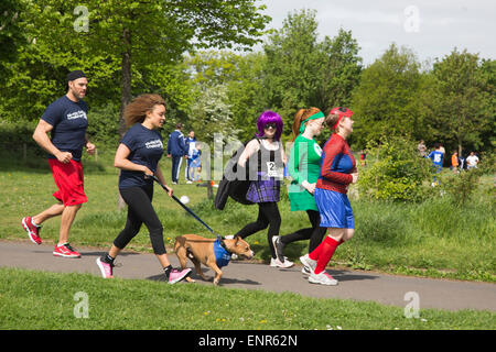 London, UK. 10 May 2015. James Crossley, Capital FM DJ Pandora and costumed runners set off on the course. Battersea Dogs & Cats Home hosted its very first Muddy Dog Challenge giving owners the opportunity to test their fitness and tackle obstacles alongside their four-legged friends in Brockwell Park, South London. 191 dogs and 260 runners took part to raise funds for Battersea Dogs & Cats Home. Photo: Nick Savage/Alamy Live News. Stock Photo