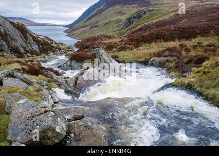 Fast flowing water in rocky mountain stream feeding Llyn Cowlyd Reservoir after rain in Carneddau mountains of Snowdonia National Park Eryri Wales UK Stock Photo