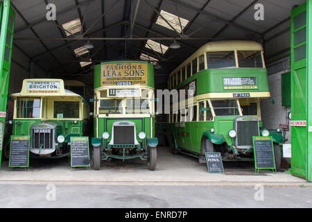 A series of preserved vintage buses in the Amberley Working Museum in West Sussex. Stock Photo