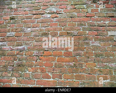Old brick background Stock Photo
