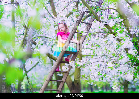 Little girl climbing a ladder in a fruit garden. Child playing in blooming cherry and apple tree orchard. Stock Photo