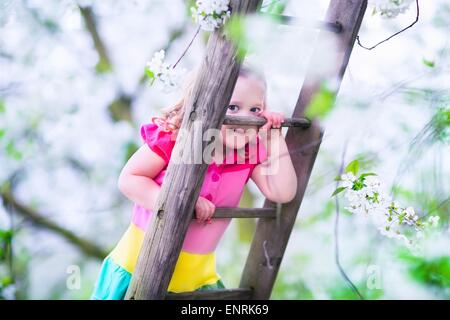 Little girl climbing a ladder in a fruit garden. Child playing in blooming cherry and apple tree orchard. Stock Photo