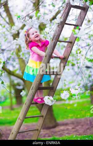 Little girl climbing a ladder in a fruit garden. Child playing in blooming cherry and apple tree orchard. Stock Photo