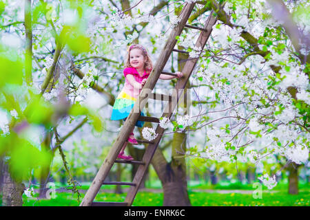 Little girl climbing a ladder in a fruit garden. Child playing in blooming cherry and apple tree orchard. Stock Photo