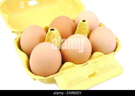 Half a dozen eggs in a green carton viewed from the front.  White background. Stock Photo