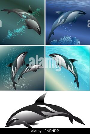 Set of dolphins including five images - isolated dolphin in black and white and dolphins against different color sea background Stock Vector