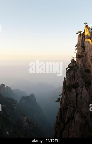 Fog, deep gorge, bizarre towering rocks and mountains covered with scattered trees, Huangshan Pines (Pinus hwangshanensis) Stock Photo