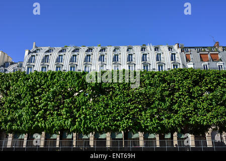 Tuileries Garden, Rue de Rivoli, 1st Arrondissement, Paris, France Stock Photo