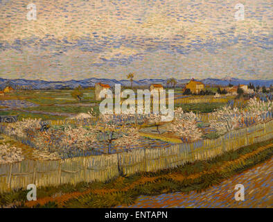 ActiveMuseum 0006333.jpg / Peach trees in blossom This is the last view of a plain outside Arles that he often painted since he settled in the south of France in 1888. 22/01/2014  -   / 19th century Collection / Active Museum Stock Photo
