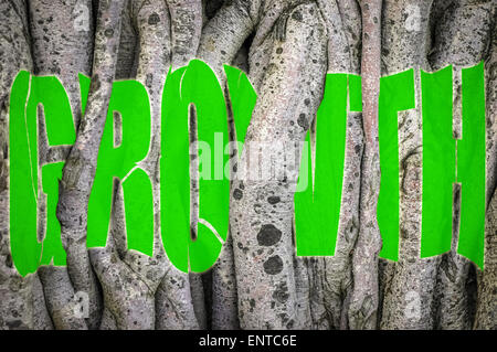 Conceptual Image Of The Word Growth Twisted And Torn Behind The Vines Of A Tree Stock Photo