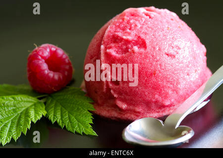 Scoop of raspberry ice cream with fresh fruit and green leaf closeup Stock Photo