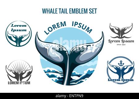 Whale tail logo or emblem set. Only free font used. Isolated on white background. Stock Vector