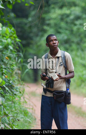 Bird Guide; Judicious use of playback of bird calls, may bring in closer wild birds of the same species. Ghana. West Africa. Stock Photo