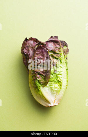 the red lettuce on green table Stock Photo