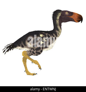 The Kelenken 'Terror Bird' of Argentina was a flightless carnivore that lived in the Miocene Period. Stock Photo