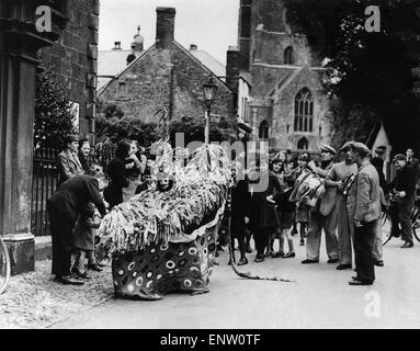 Men Preparing the hobby horse. The origin of the Minehead Hobby Horse Festival has been lost in history although it's thought to have started as warding off evil Vikings or is commemoration of the wreck of vessel at Minehead The tradition continues to today and can be traced back to at least 1792 when it was recorded in Dunster Castle's ledger. On 1 May Minehead is woken by the beating of drum. The Hobby Horse dances its way around Minehead and on up to Dunster Castle. As it makes its way back to Minehead it collects donations. The culmination of the festival is the 'booty' on 3 May. Stock Photo