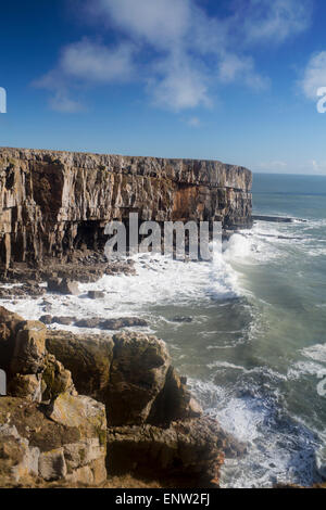 Stackpole Pembrokeshire Headland at Stackpole Head Stock Photo - Alamy