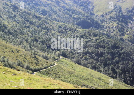 Mountain road, Italian Alps. Paesana. Italy. Stock Photo