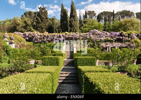 La Foce, Chianciano Terme, Tuscany, Italy. The spectacular wisteria tunnel seen from the lemon garden Stock Photo