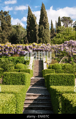 La Foce, Chianciano Terme, Tuscany, Italy. The spectacular wisteria tunnel seen from the lemon garden Stock Photo