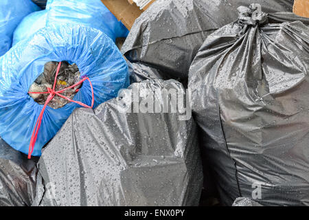 https://l450v.alamy.com/450v/enx0py/pile-of-black-and-blue-plastic-trash-bags-full-of-garbage-enx0py.jpg