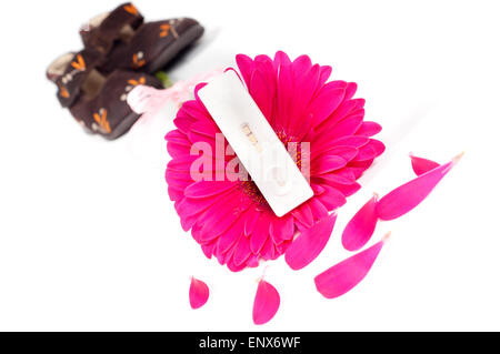 Positive pregnancy test and gerbera Stock Photo