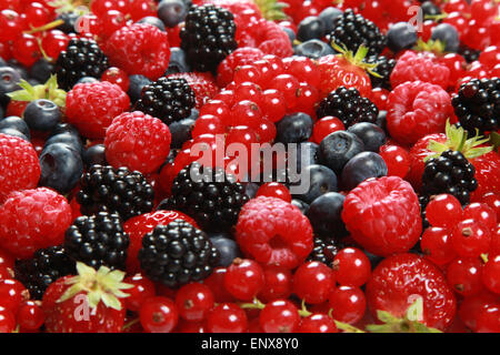 Beeren Stock Photo