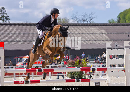 Kai Steffen Meier (GER) riding Sunny Side First. Stock Photo