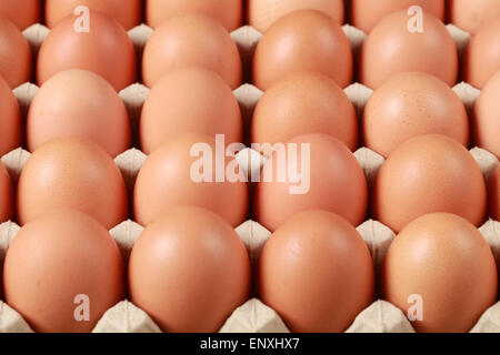 Eier in einer Schachtel Stock Photo