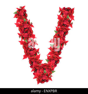 letter from red christmas flowers isolated on white Stock Photo