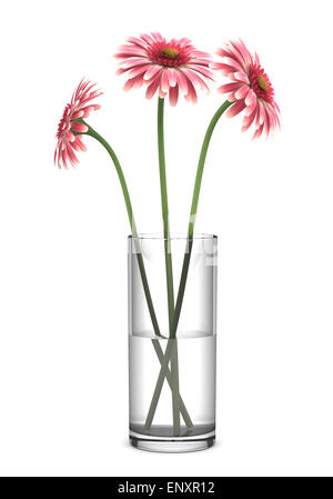 pink gerbera daisies in vase isolated on white Stock Photo
