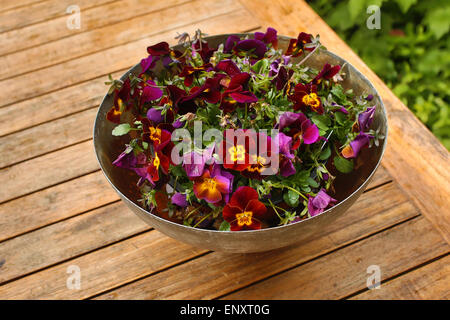 Pot with pansies on a table in the garden Stock Photo