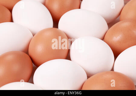 Eier Stock Photo