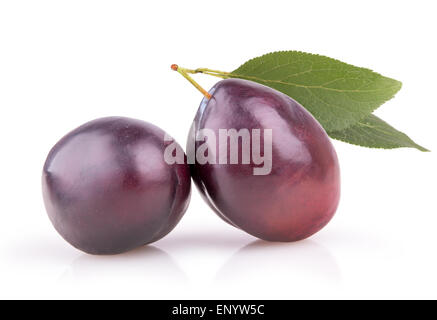 two ripe plums with leaves on a white background Stock Photo