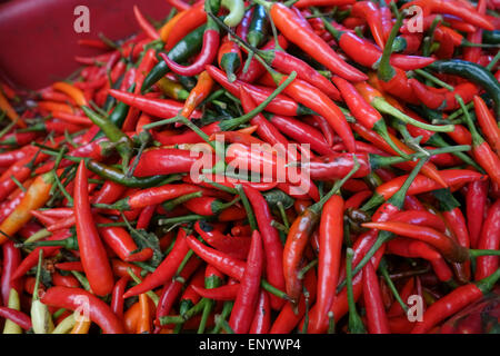 Large red chilli peppers on a stall in a Bangkok food market, Thailand Stock Photo