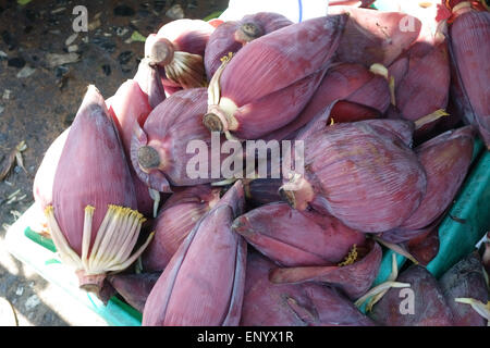 Sterile purple male banana flower used in cooking, Hue Plee, on a stall in a Bangkok, food, market, Thailand, February Stock Photo