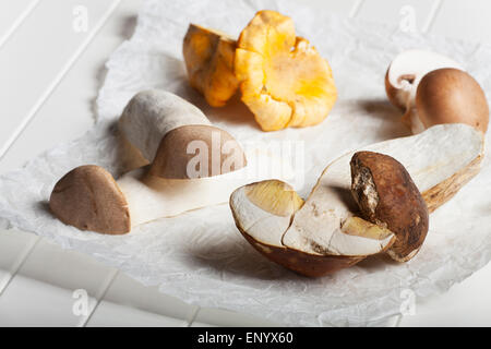 different edible mushrooms on paper Stock Photo