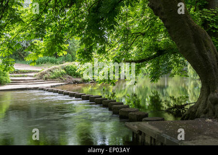 Stepping Stones over River Mole, Surrey, England Stock Photo