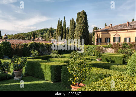 La Foce, Chianciano Terme, Tuscany, Italy. The lemon garden Stock Photo