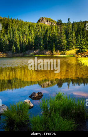 Mirror Lake, in Mount Hood National Forest, Oregon. Stock Photo