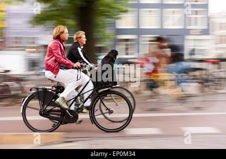 People riding bicycles, one with their dog, in Amsterdam's Old Town. Stock Photo