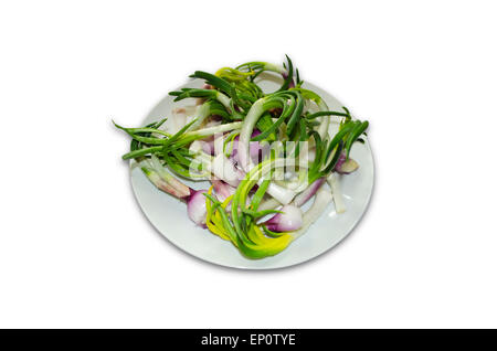 Cleansed sprouted onions on a plate Stock Photo