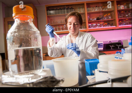 Woman scientist doing experiments at a plant science lab in College Park, Maryland, USA Stock Photo